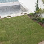 Aménagement d’un jardin méditerranéen de bord de mer, Marseille (13)