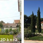 Aménagement d’un jardin méditerranéen (30)